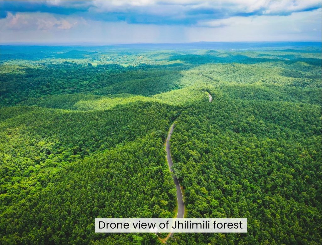 Jhilimili Forest